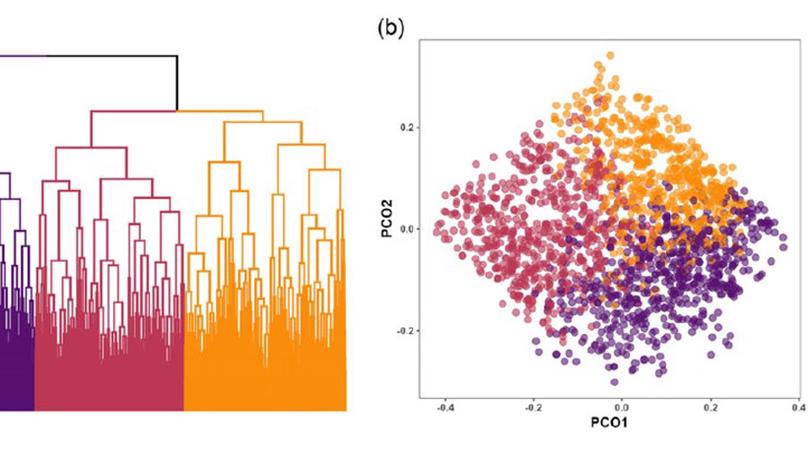 Tailoring interventions through a combination of statistical typology and frontier analysis: a study of mixed crop-livestock farms in semi-arid Zimbabwe