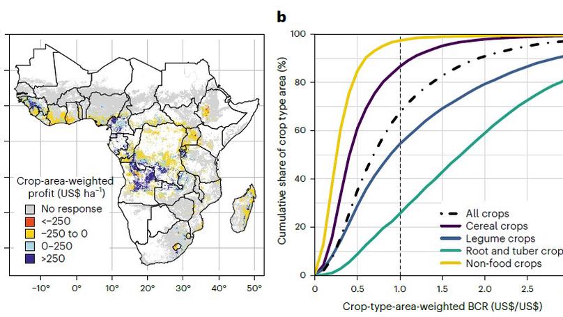 Soil acidity remediation in sub-Saharan Africa requires targeted investments